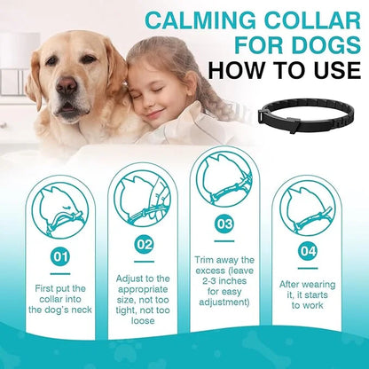 Calming Collar for Dogs-4 Pack