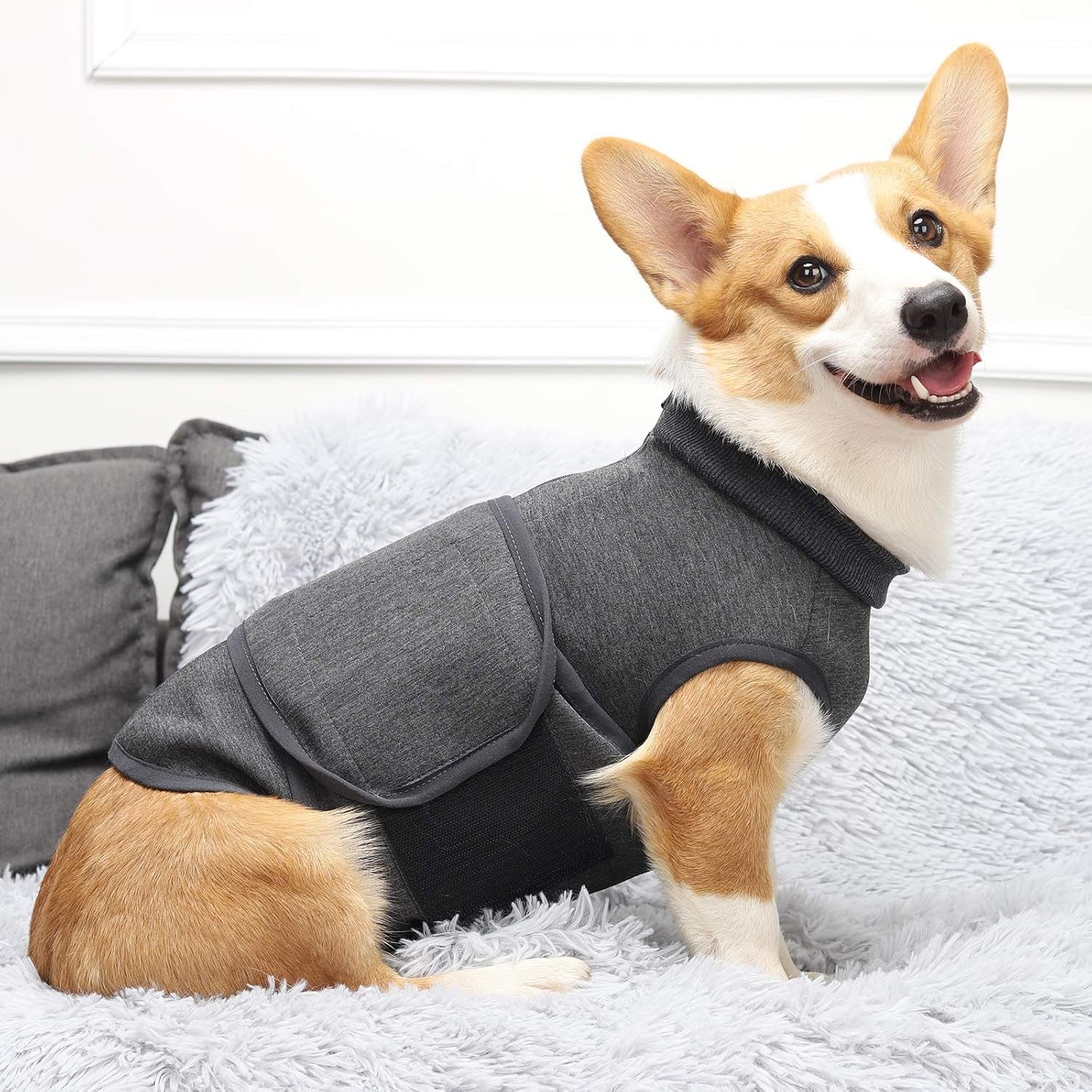 Anxiety/Stress Relief Vest for Dogs