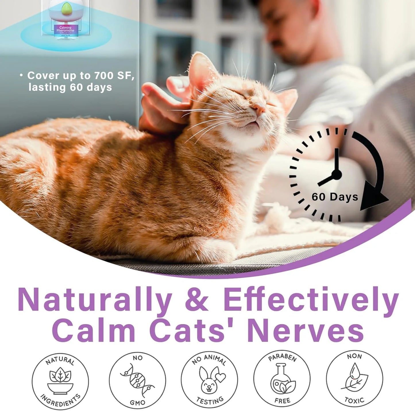 Cat Calming Pheromone Diffuser Starter Kit with Diffuser Head and 2 refills